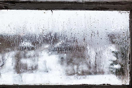 Defogging Double Pane Windows in Riverview, FL